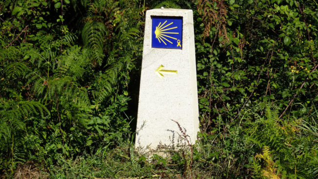 Camino de santiado por el prepirineo