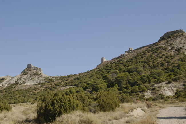 22.VISTA CONJUNTO TORREONES DESDE EL NORTE
