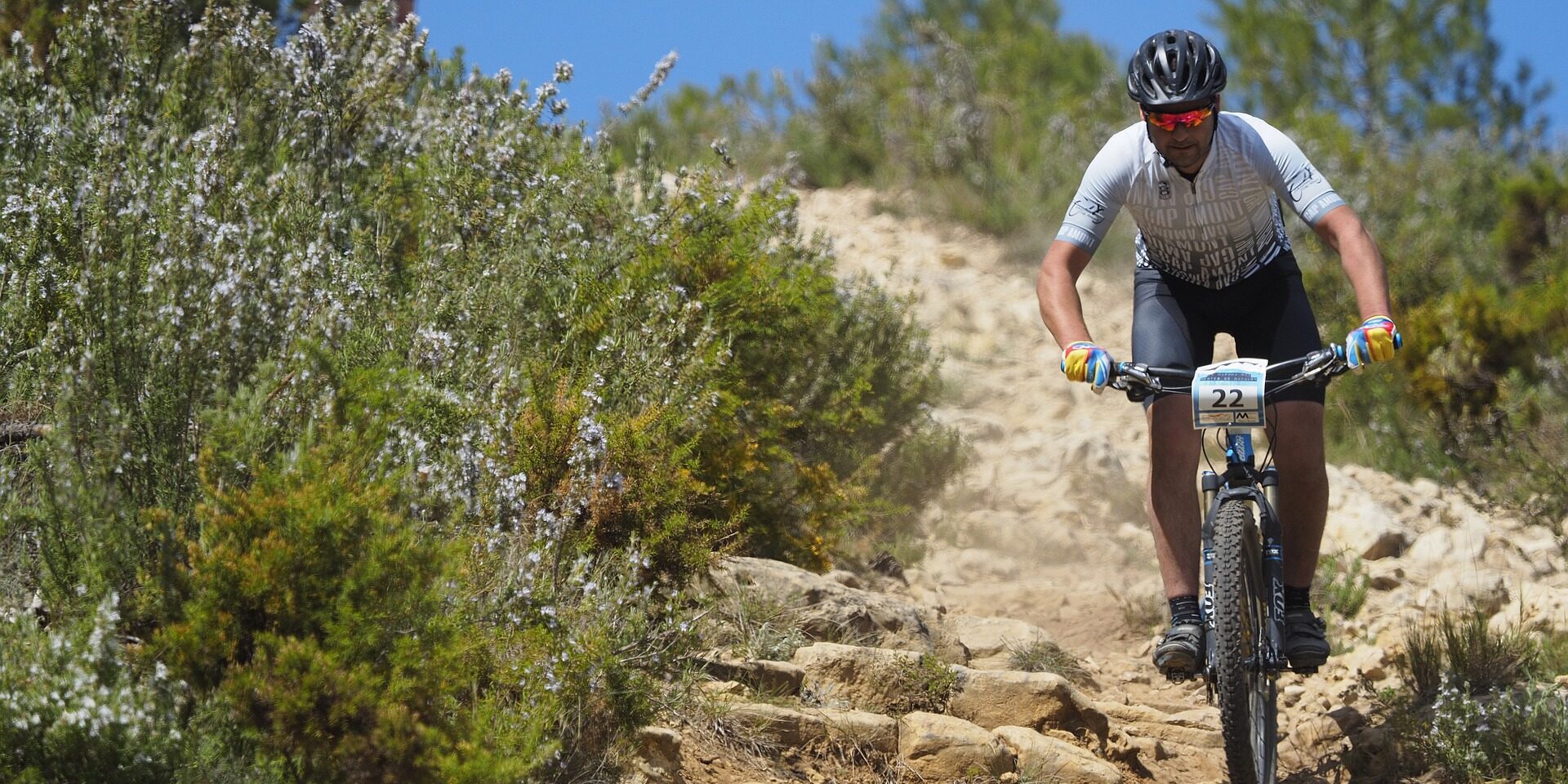 bardena-territorio-total