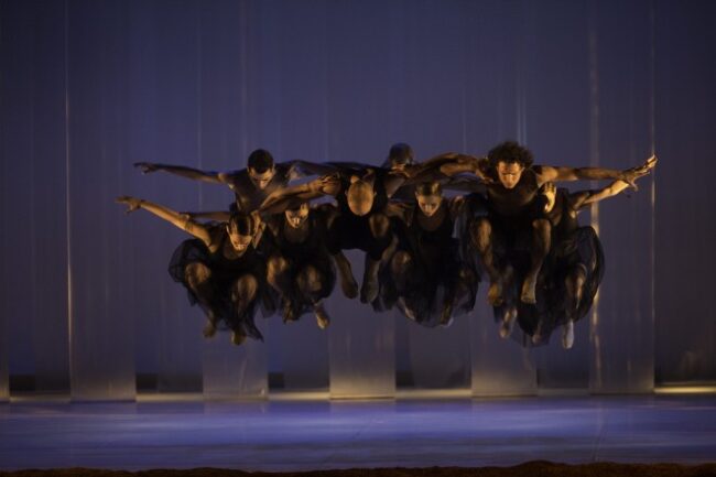 Danza contemporánea ciclo DPZ