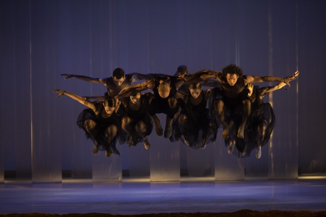 Danza contemporánea ciclo DPZ