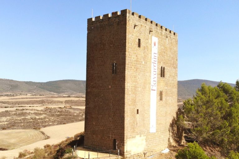 Torreón de navardún