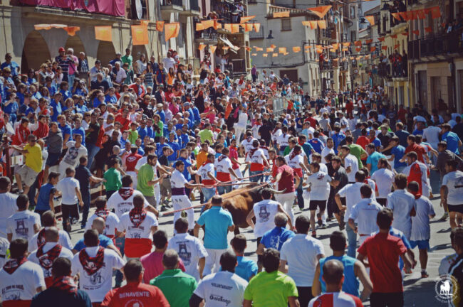 toro-de-sogas Toro de sogas